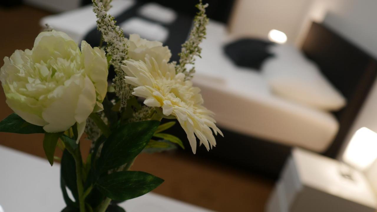 Hotel Bily Konicek Třeboň Extérieur photo